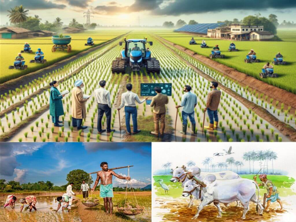 Agri-farmers Center in Rural Areas 4 Agri farmers Center Vishwakendra Foundation Agri-farmers Center Vishwakendra Foundation